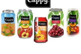 KUTU MEYVESUYU-330ML